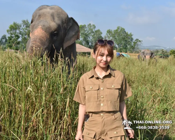 Elephant Jungle Sanctuary excursion in Pattaya Thailand - photo 76