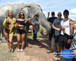 Elephant Jungle Sanctuary excursion in Pattaya Thailand - photo 390