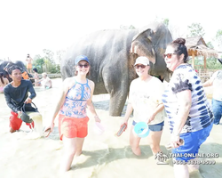 Elephant Jungle Sanctuary excursion in Pattaya Thailand - photo 889