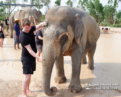 Elephant Jungle Sanctuary excursion in Pattaya Thailand - photo 537