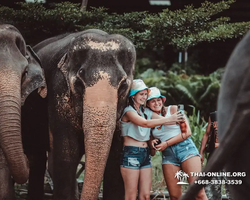 Elephant Jungle Sanctuary excursion in Pattaya Thailand - photo 467