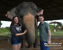 Elephant Jungle Sanctuary excursion in Pattaya Thailand - photo 1059