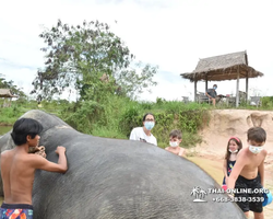 Elephant Jungle Sanctuary excursion in Pattaya Thailand - photo 624