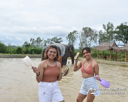 Elephant Jungle Sanctuary excursion in Pattaya Thailand - photo 790