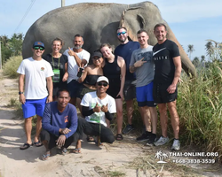 Elephant Jungle Sanctuary excursion in Pattaya Thailand - photo 337