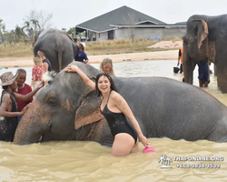 Elephant Jungle Sanctuary excursion in Pattaya Thailand - photo 761