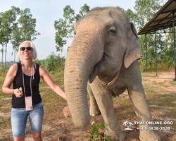 Elephant Jungle Sanctuary excursion in Pattaya Thailand - photo 118