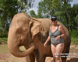 Elephant Jungle Sanctuary excursion in Pattaya Thailand - photo 299