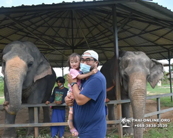 Elephant Jungle Sanctuary excursion in Pattaya Thailand - photo 844