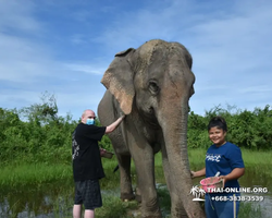 Elephant Jungle Sanctuary excursion in Pattaya Thailand - photo 998