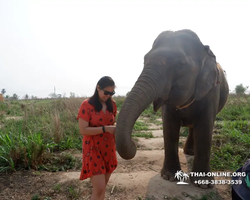 Elephant Jungle Sanctuary excursion in Pattaya Thailand - photo 938