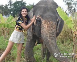 Elephant Jungle Sanctuary excursion in Pattaya Thailand - photo 87