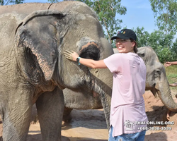 Elephant Jungle Sanctuary excursion in Pattaya Thailand - photo 143