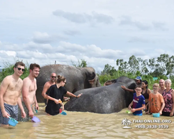 Elephant Jungle Sanctuary excursion in Pattaya Thailand - photo 886