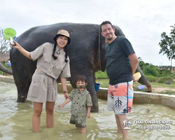 Elephant Jungle Sanctuary excursion in Pattaya Thailand - photo 877