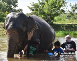 Elephant Jungle Sanctuary excursion in Pattaya Thailand - photo 420