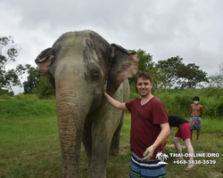 Elephant Jungle Sanctuary excursion in Pattaya Thailand - photo 1004