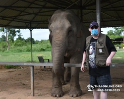 Elephant Jungle Sanctuary excursion in Pattaya Thailand - photo 880