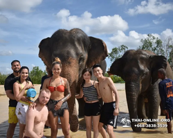 Elephant Jungle Sanctuary excursion in Pattaya Thailand - photo 774