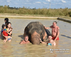 Elephant Jungle Sanctuary excursion in Pattaya Thailand - photo 797