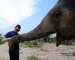 Elephant Jungle Sanctuary excursion in Pattaya Thailand - photo 1093