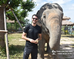 Elephant Jungle Sanctuary excursion in Pattaya Thailand - photo 239