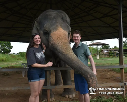 Elephant Jungle Sanctuary excursion in Pattaya Thailand - photo 1024