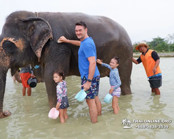 Elephant Jungle Sanctuary excursion in Pattaya Thailand - photo 777