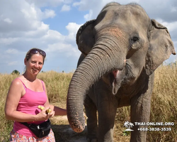 Elephant Jungle Sanctuary excursion in Pattaya Thailand - photo 416