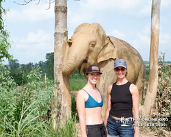 Elephant Jungle Sanctuary excursion in Pattaya Thailand - photo 183