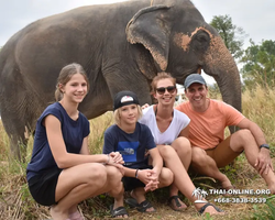 Elephant Jungle Sanctuary excursion in Pattaya Thailand - photo 470