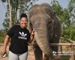 Elephant Jungle Sanctuary excursion in Pattaya Thailand - photo 569