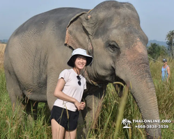 Elephant Jungle Sanctuary excursion in Pattaya Thailand - photo 461