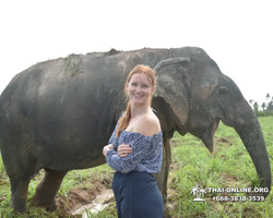 Elephant Jungle Sanctuary excursion in Pattaya Thailand - photo 972