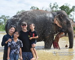 Elephant Jungle Sanctuary excursion in Pattaya Thailand - photo 402