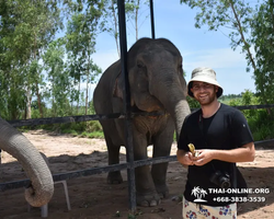 Elephant Jungle Sanctuary excursion in Pattaya Thailand - photo 323