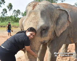 Elephant Jungle Sanctuary excursion in Pattaya Thailand - photo 340