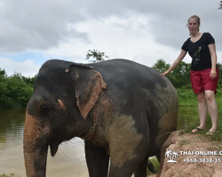 Elephant Jungle Sanctuary excursion in Pattaya Thailand - photo 1044