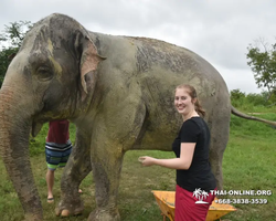 Elephant Jungle Sanctuary excursion in Pattaya Thailand - photo 787