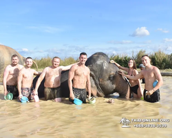 Elephant Jungle Sanctuary excursion in Pattaya Thailand - photo 1009