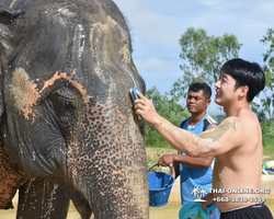 Elephant Jungle Sanctuary excursion in Pattaya Thailand - photo 458