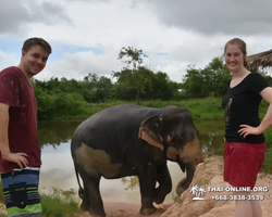 Elephant Jungle Sanctuary excursion in Pattaya Thailand - photo 1096