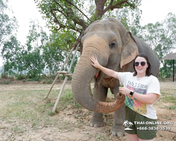 Elephant Jungle Sanctuary excursion in Pattaya Thailand - photo 17