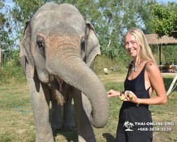 Elephant Jungle Sanctuary excursion in Pattaya Thailand - photo 35