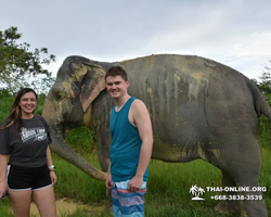 Elephant Jungle Sanctuary excursion in Pattaya Thailand - photo 1001