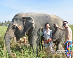 Elephant Jungle Sanctuary excursion in Pattaya Thailand - photo 203