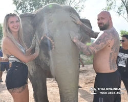 Elephant Jungle Sanctuary excursion in Pattaya Thailand - photo 935