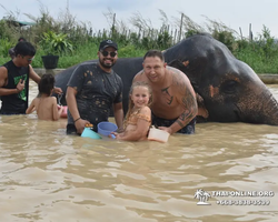 Elephant Jungle Sanctuary excursion in Pattaya Thailand - photo 816