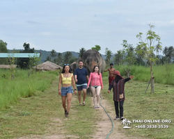 Elephant Jungle Sanctuary excursion in Pattaya Thailand - photo 633