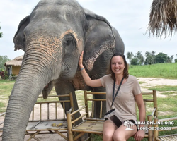 Elephant Jungle Sanctuary excursion in Pattaya Thailand - photo 450